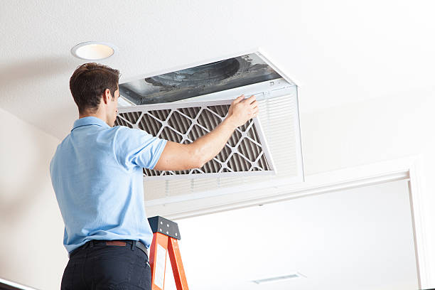 Best Affordable HVAC Services  in Fenton, MI